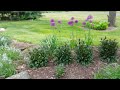 May Garden Tour