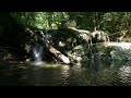 Relaxing Riverside Serenity: Soothing Sounds and Stunning Angles of Flowing Water | Feel the nature.