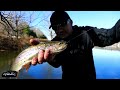 Fall Trout Fishing For Rainbow Trout