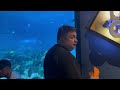 JADEN’S ADVENTURE | NATIONAL MUSEUM | BAYVIEW PARK HOTEL | MANILA OCEAN PARK