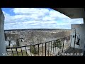 The Juvenile Red-Tailed Hawk Mimicking Bluejay | 2/29/2024