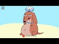 Cancion viral de TikTok:  Perro salchicha gordo Bachicha  / Animación