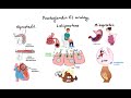 Pharmacology - NSAIDs & PROSTAGLANDIN ANALOGS (MADE EASY)