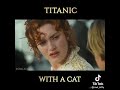 Amazing Edit. Titanic With A Cat #owlkitty