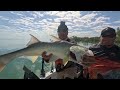 I CAUGHT the BIGGEST Barramundi and Threadfin! Winter Fishing Karumba North Queensland