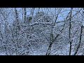 Winter, shot last Feb 2024 / S24 Ultra 4K 60fps