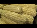 when to harvest sweet corn