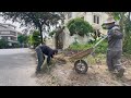 NOBODY Beautiful Sidewalk Buried Under Grass Cleaned Up Dramatic Transformation