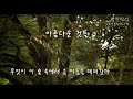 아름다운것들/ 양희은 / 구독, 좋아요 / 연봉하모니카