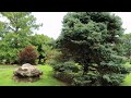 Mizumoto Japanese garden