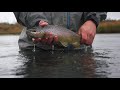 Fly Fishing for Trout in Montana