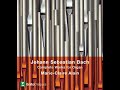 Schübler Chorale No. 2, Wo soll ich fliehen hin, BWV 646