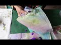 Fabric Book Part 1 -The Cardboard Covers