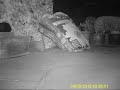 46 Hedgehog can't get up 5th Apr 2015