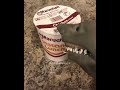 Shark puppet makes some Asian cuisine