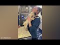 Even the Bravest Dogs need a little Comfort sometimes at Vet! Funniest Dog Reactions