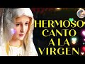 Preciosas Canciones de la Virgen || Que Su Luz de Madre Nos Ilumine Siempre, Virgen Santa 2024