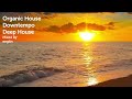 Organic House/Downtempo/Deep House/Chillout Mix 2024