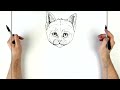 How To Draw A Kitten | Step By Step