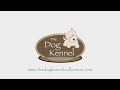 Commercial Dog Kennel
