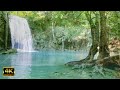 4K • Nature Relaxation Film / The most beautiful melody in the world touch Your Heart