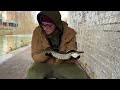 £20 PIKE Fishing CHALLENEGE! | UK River Fishing