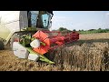 Claas Tucano 570 & John Deere 6145r żniwa 2019 małopolska