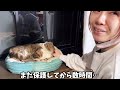 野良猫を世界一優しく保護しました