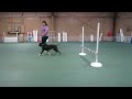 AKC Rally Advanced Sign #103 : Send over Jump – Handler Passes By