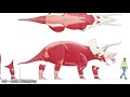 Bizarre Truth Behind The Triceratops Hump | McLoughlin's Ceratopsians