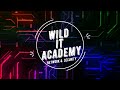 Motivos de los Ciber-Ataques | Wild IT Academy