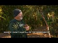 Mastering Fruit Tree Fertilization in a Food Forest or Home Garden