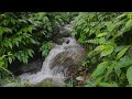 Soothing Sounds of Waterfall | Relaxing White Noise Water Sounds for Sleep, Relaxation