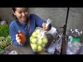 Walk Around Cambodian Market Food Tour In Phnom Penh city  - Market Show