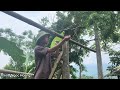 (Full video) 3 days of building a bamboo house | Thiểm Ngọc Hoàng