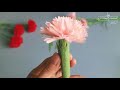 How to make Carnation by crepe paper/ Oai Huong handmade