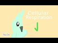 Cellular Respiration very, very simply