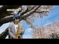 [사랑이 비를 맞아요 / 배금성] 김상태 Alto Saxophone cover ♥️