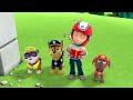 PAW Patrol | ¡Los cachorros se cambian entre sí! | Nick Jr. en Español