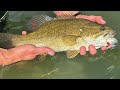 Tying the Clatter Shad Fly - Fly Tying with Larva Lace - Noisy Shad fly pattern