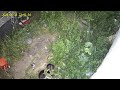 UBox 2024 06 14 Security Cam Possum