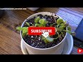 Venus Flytrap Care 101 For Beginners: How To Repot A Lowes Venus Flytrap - Common Mistakes To Avoid!