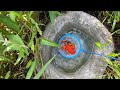 Amazing Catch Colorful Tiny Ornamental Turtles, Koi Fish, Kim Kim Fish, Goldfish, Butterfly Fish