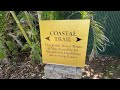 Kapalua Maui Coastal Trail Walking Tour With Snorkeling in Hawaii Hiking DT Fleming Green Sea Turtle