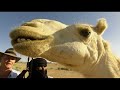 En el Desierto del Sahara | Viajes a los Confines de la Tierra T1 Ep1 | Real Stories en Español