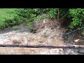 Flash Flood Holualoa, HI 8/23/21