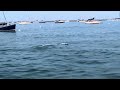 RC Boat in Chicago Harbor