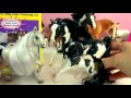 Breyer DIY Mare and Foal My Dream Horse Painting Craft Kit - Honeyheartsc Video