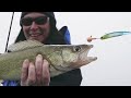 Stinger Hooks and Walleyes