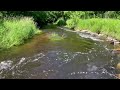 Nine Mile Creek in Bloomington Minnesota